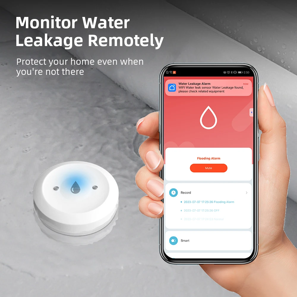 Smart Home Setup - Sensor de Fugas de Agua Zigbee