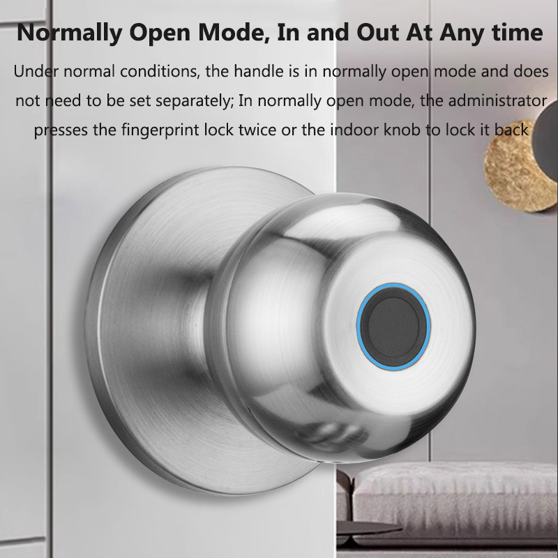 Cerradura de puerta Tuya, llav - Smart Home Lock reseña y precio