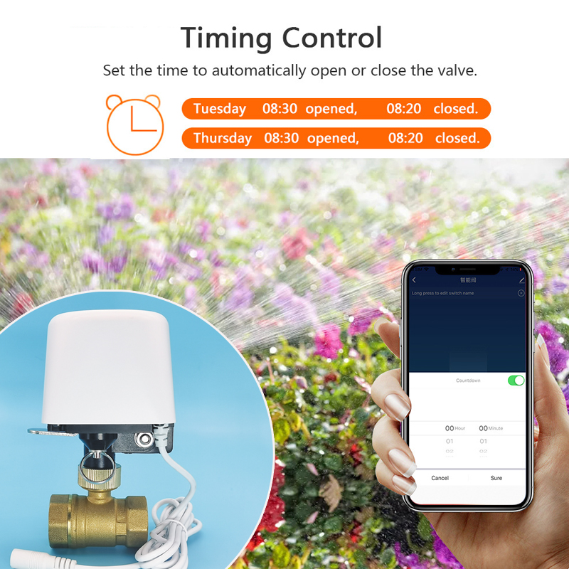 Válvula de Agua Inteligente Tu - Smart Home Setup reseña y precio