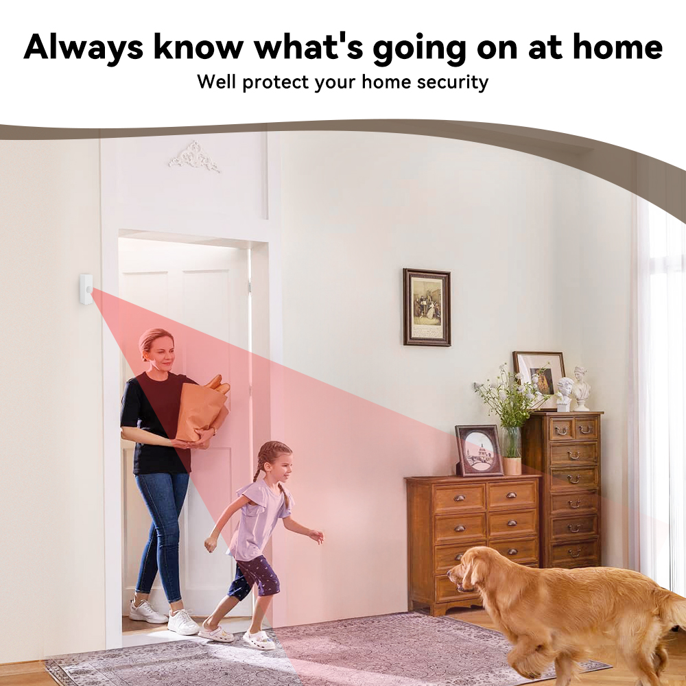 Sensor de Movimiento PIR Intel - Smart Home Monitoring reseña y precio