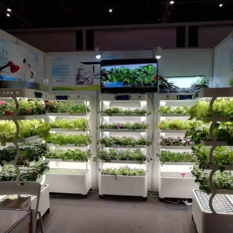 Sistema de Cultivo Hidropónico - Smart Home Uses reseña y precio