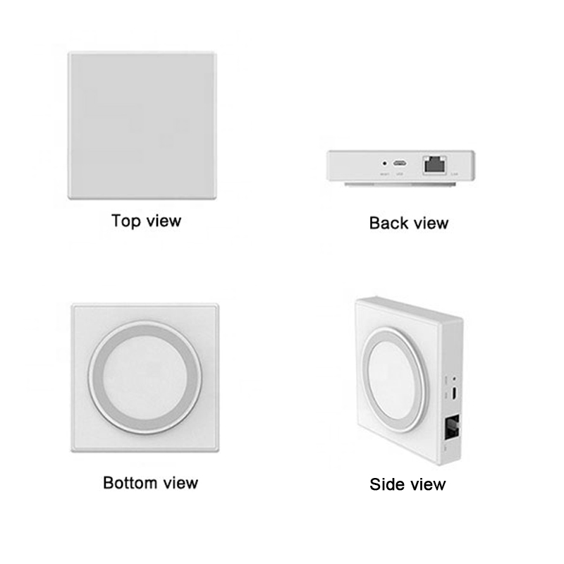 LoraTap-puente de enlace intel - Smart Outdoor Plug reseña y precio