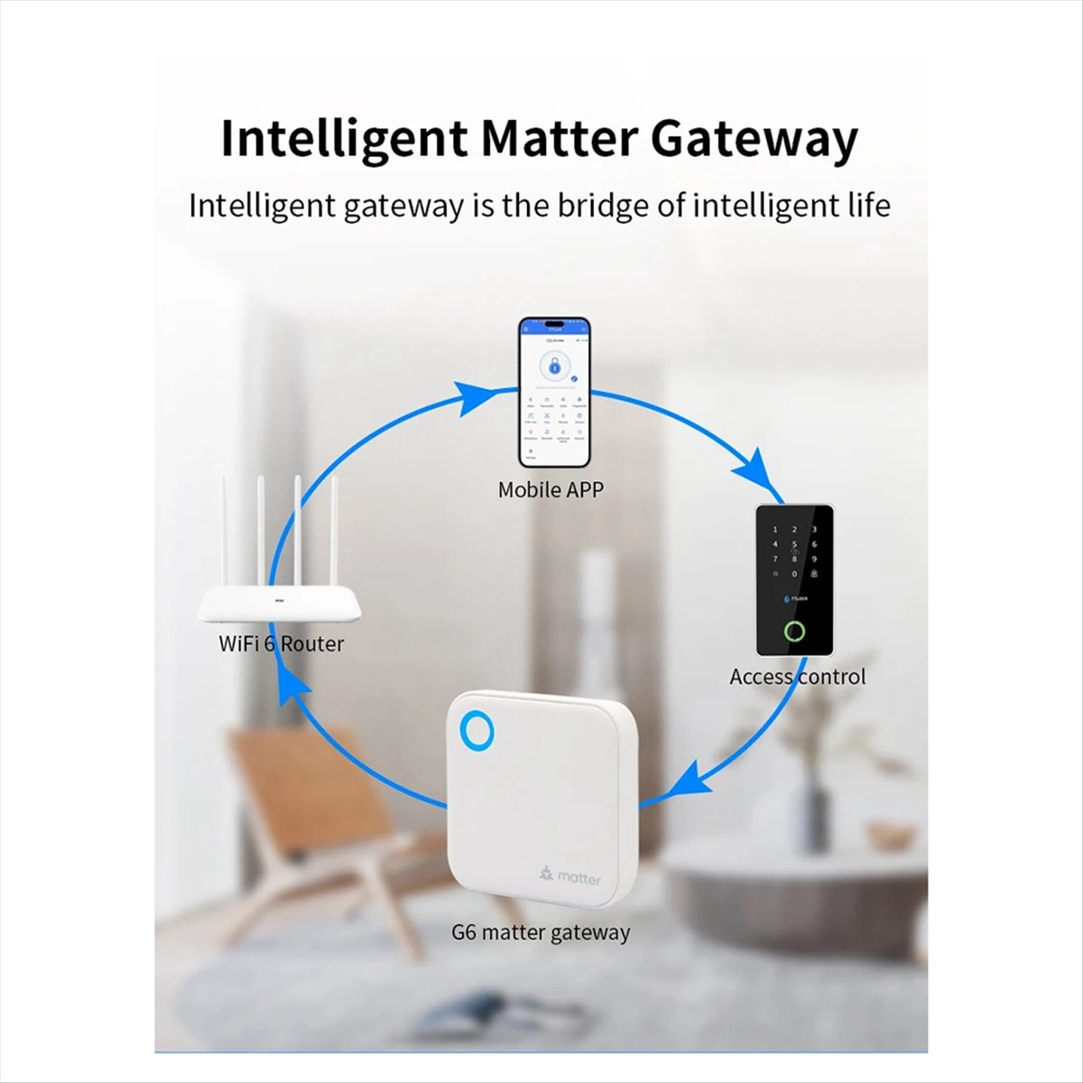 TTLOCK G6 Smart Matter Gateway - Smart Home Router reseña y precio