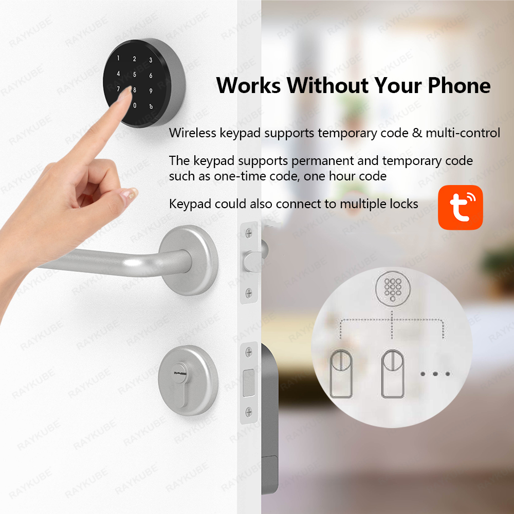 RAYKUBE A1 Pro Tuya BEL juego  - Smart Home Lock reseña y precio