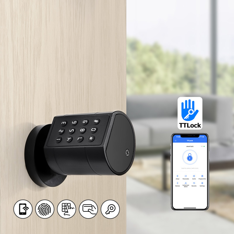 Cerradura de puerta cilíndrica - Smart Home Lock reseña y precio