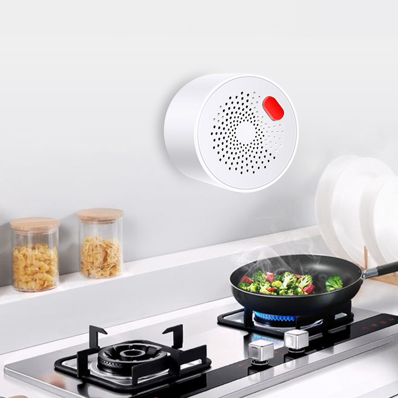 Tuya-Sensor de Gas Natural par - Smart Home Network reseña y precio