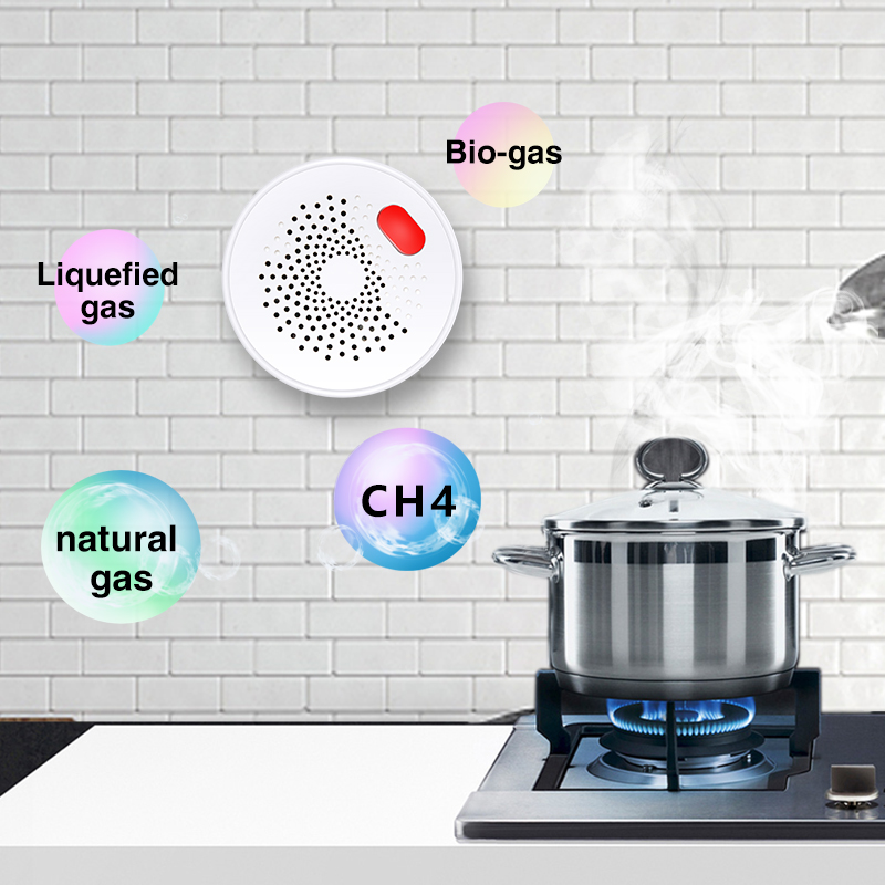 Tuya-Sensor de Gas Natural par - Smart Home Network reseña y precio